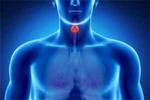 thyroid1