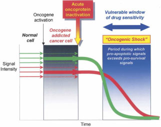 oncogene